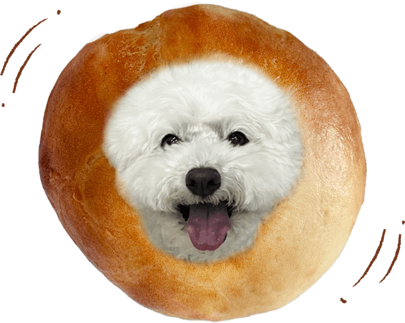 ワンちゃん用ベーグル