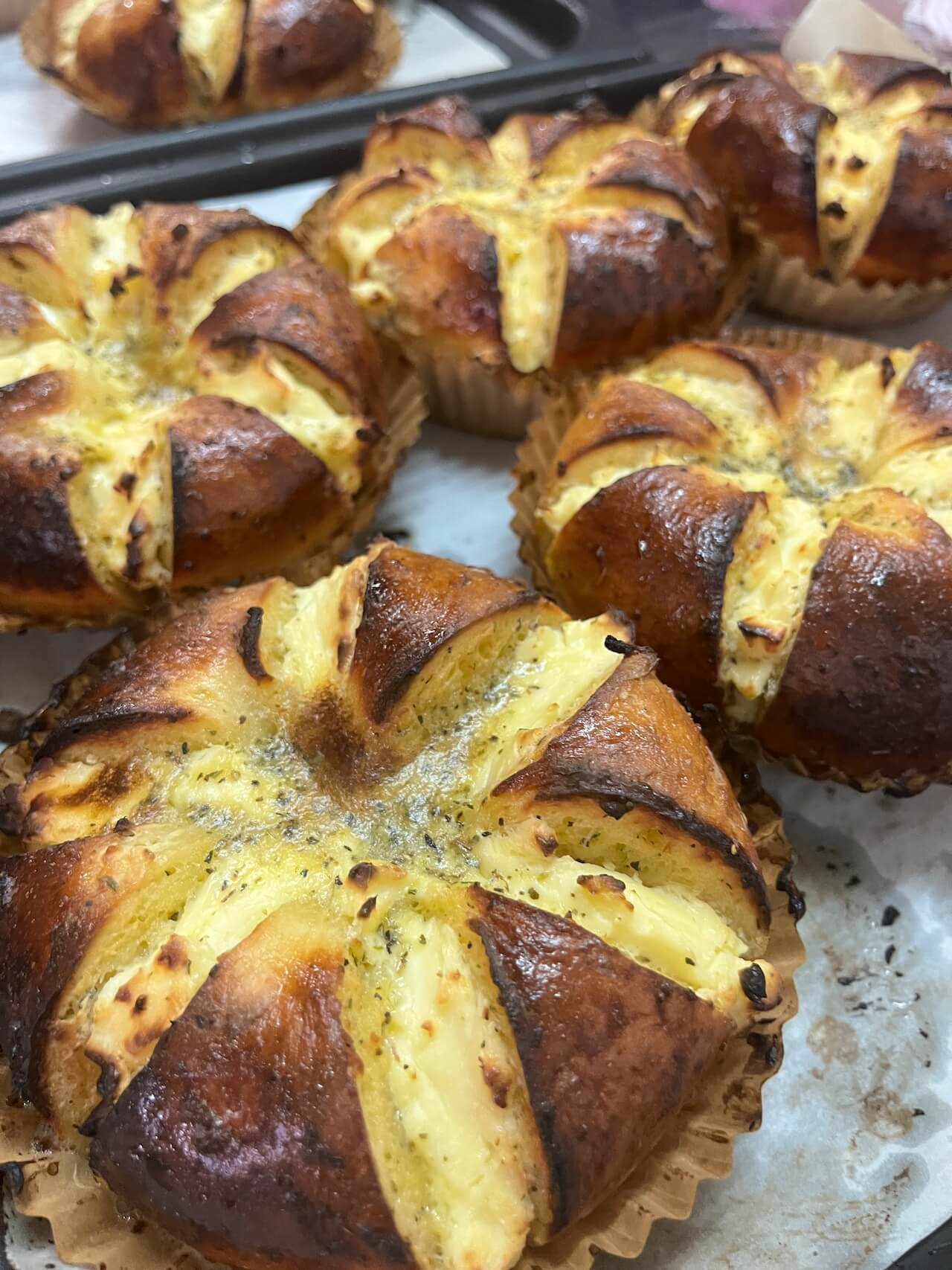 新作6個セットのイメージ